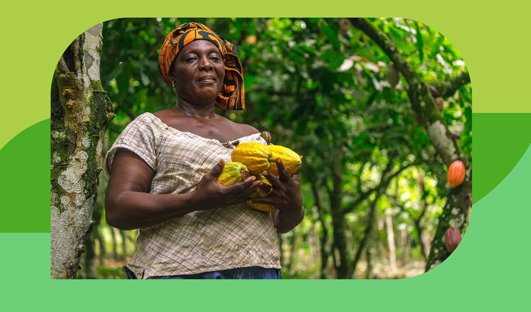 Growing Prosperity Under the Canopy: How Forest-Friendly Farming is Transforming Ghana’s Cocoa Communities