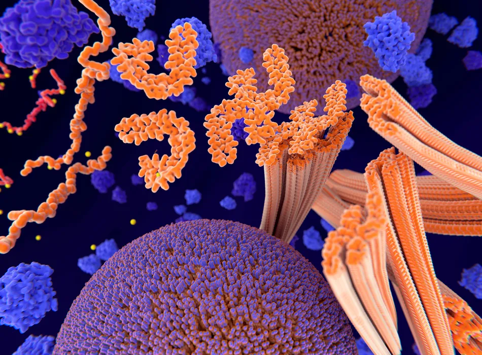 New Breakthrough Research Pinpoints the Exact Spot Where Alzheimer’s Protein Tangles Begin