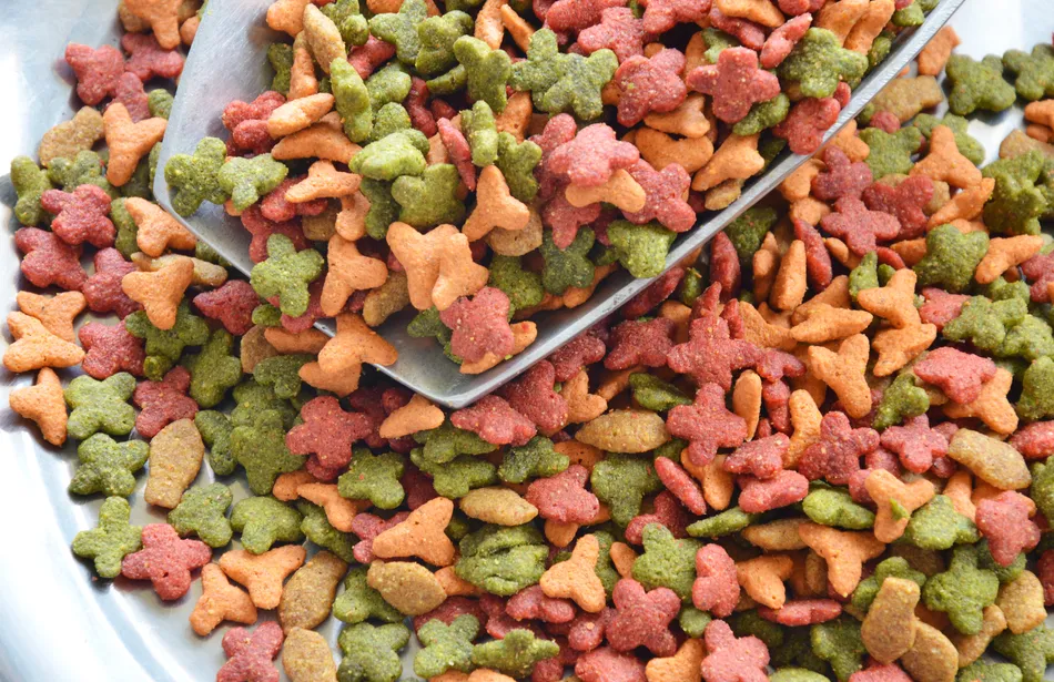 New York City Food Pantries Step Up to Keep Beloved Pets Fed and Families Together