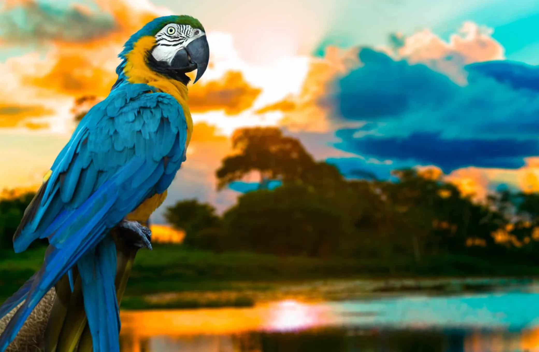 Across the globe, concerted efforts in environmental conservation, public health, and sustainable urban living are delivering tangible, positive change. From...