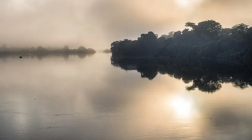 Bolivian Wildlife Reserve Milestone Protects 70 Million Acres of Amazon Rainforest