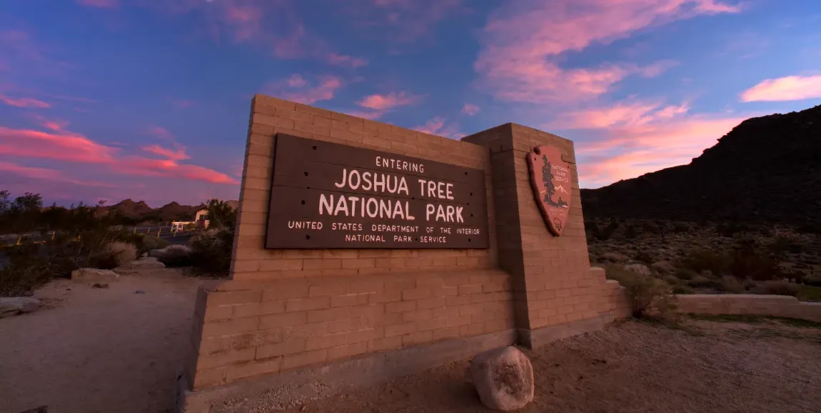 New Wildlife Crossings in Joshua Tree Will Protect Mountain Lions and Make Roads Safer