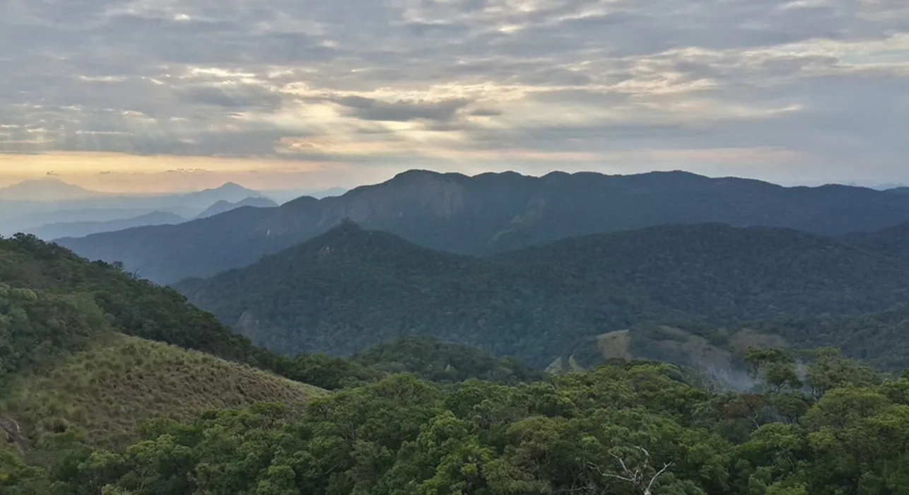 Mozambique Officially Protects the Magical 'Butterfly Forest' of Mount Mabu