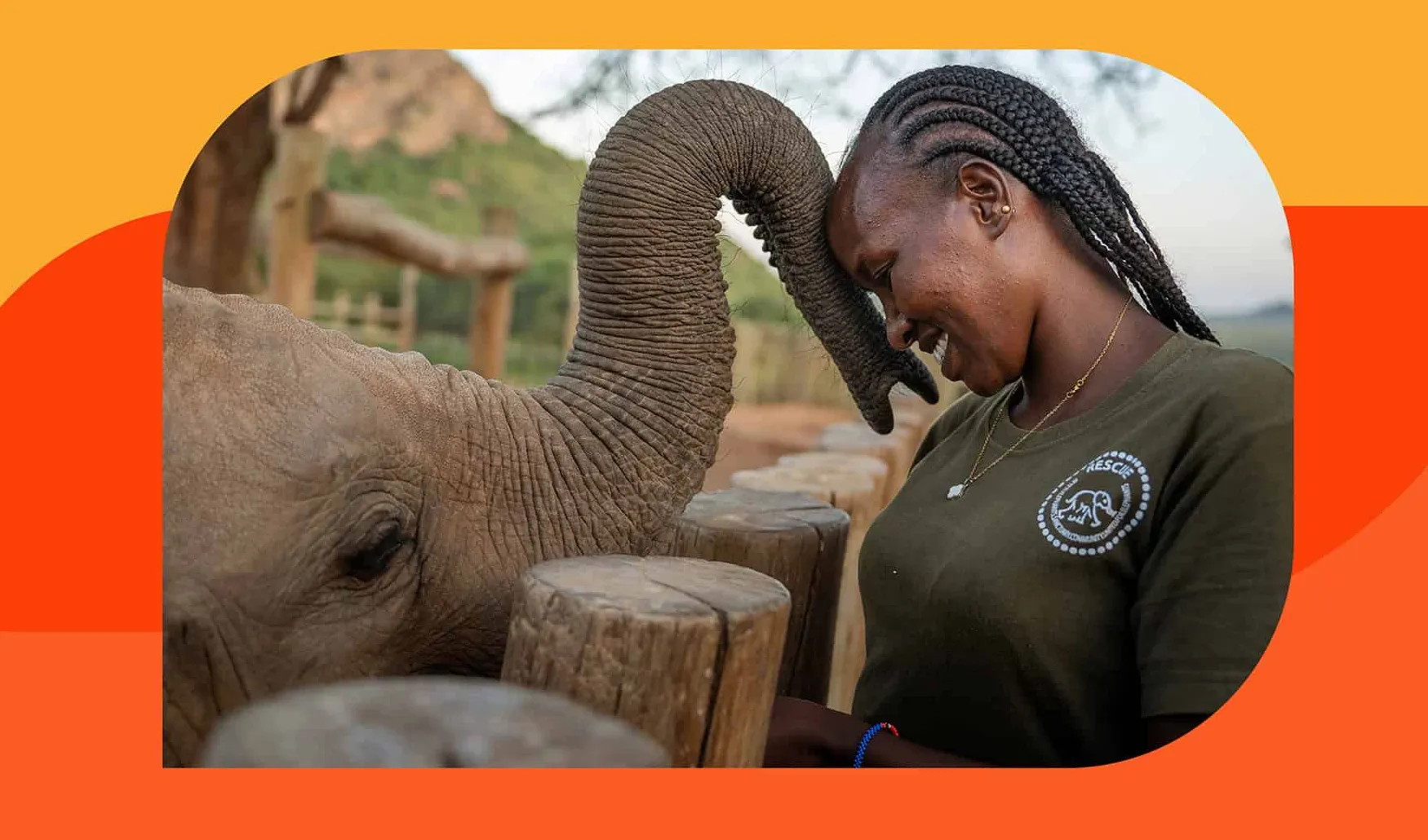 Empowering Communities: How Indigenous Women Are Transforming Elephant Conservation in Kenya