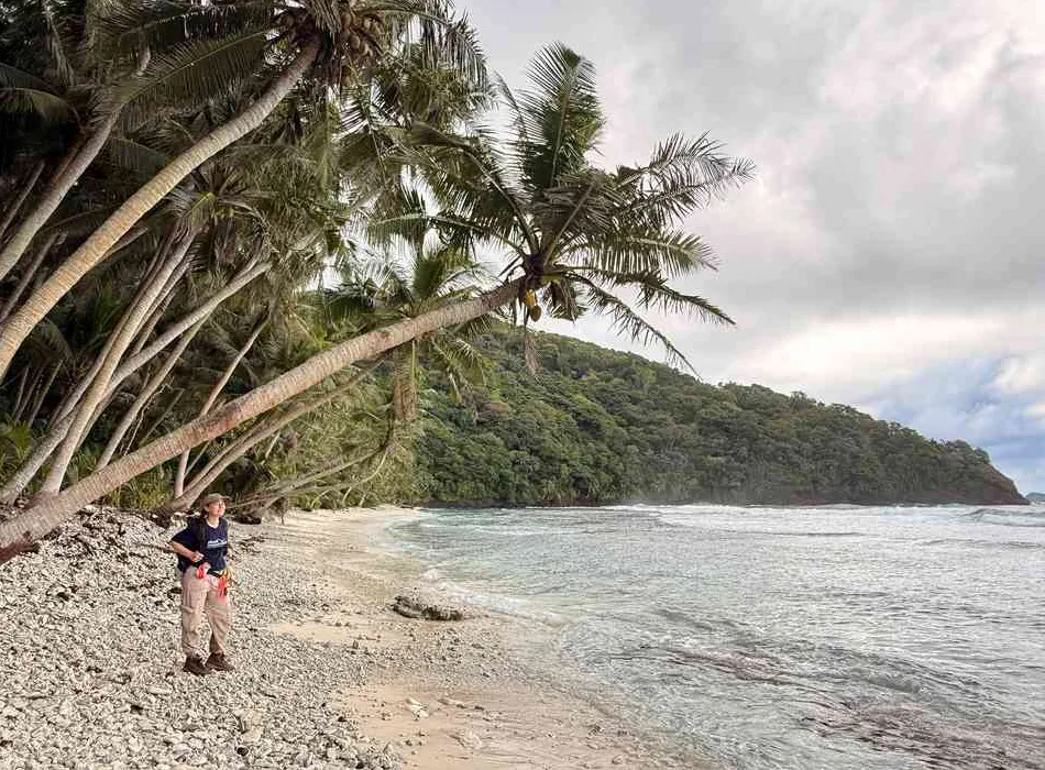 Samoan Island Witnesses Explosion of Native Wildlife Following Successful Restoration