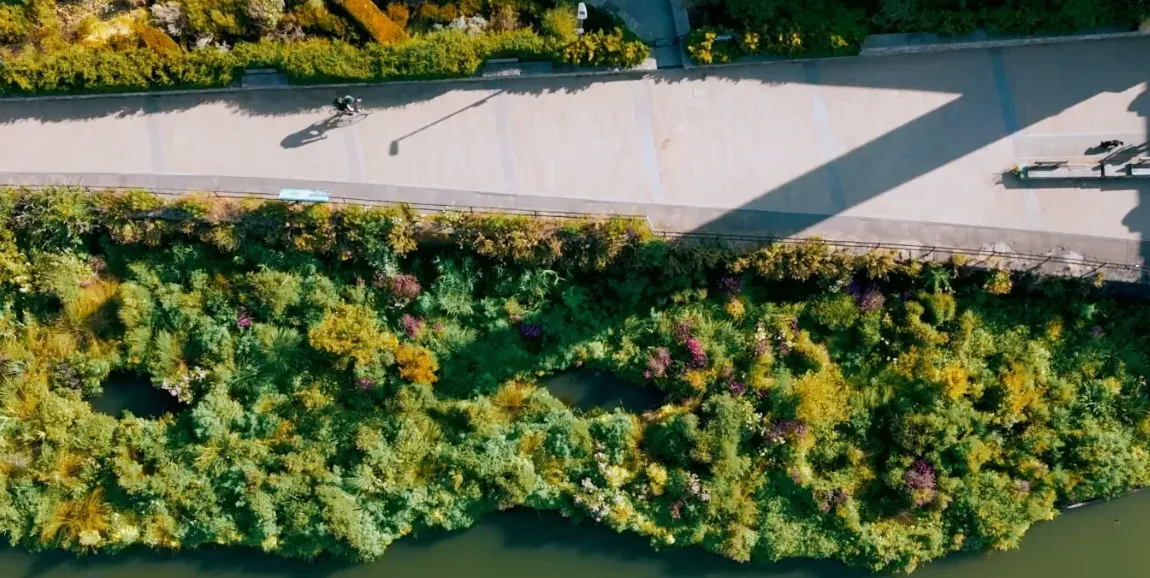 Innovative Floating Gardens Transform Urban Harbors Into Thriving Wildlife Corridors