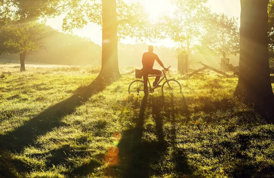 The London Tree Ring: A Visionary 200km Green Corridor to Reconnect Nature and Communities